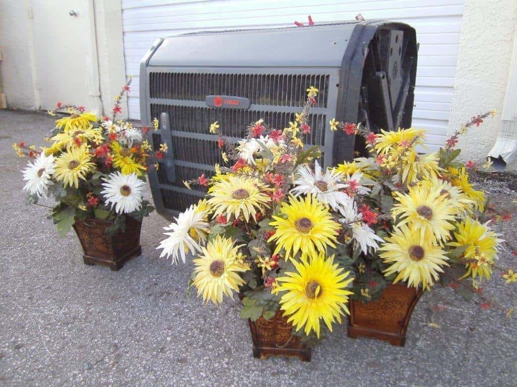 yellow flowers with ac unit
