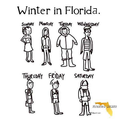Winter in FL meme