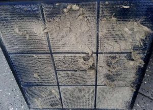 Clean Your AC Filter